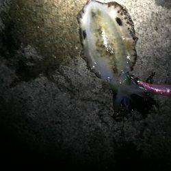 今日はいい天気